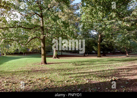 Northampton. Météo au Royaume-Uni. 21 ème Septemper 2018, soleil bas casting shadows amonst les arbres ce soir à Abington Park après un brillant, froid et vent. Credit : Keith J Smith./Alamy Live News Banque D'Images