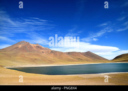 Laguna Miniques ou Miniques Lac avec Cerro Miscanti volcan de la région d'Antofagasta, Chili du Nord Banque D'Images