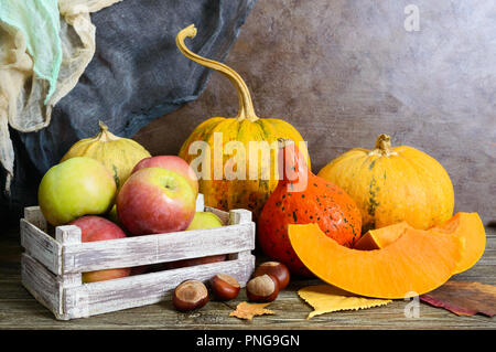 Tas de citrouilles récoltés orange, des feuilles sèches, les pommes, les châtaignes sur une table en bois, aux couleurs rétro. Jour de Thanksgiving concept. Background vintage rustique. Au Banque D'Images