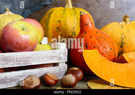 Tas de citrouilles récoltés orange, des feuilles sèches, les pommes, les châtaignes sur une table en bois, aux couleurs rétro. Jour de Thanksgiving concept. Background vintage rustique. Au Banque D'Images