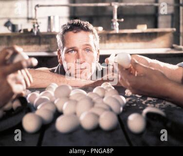 Titre original : Cool Hand Luke. Titre en anglais : Cool Hand Luke. Année : 1967. Réalisateur : STUART ROSENBERG. Stars : Paul Newman. Credit : Warner Brothers / Album Banque D'Images