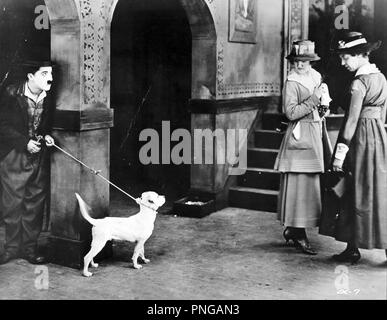 Film Original Titre : UNE VIE DE CHIEN. Titre en anglais : UNE VIE DE CHIEN. Année : 1918. Directeur : CHARLIE CHAPLIN. Stars : Charlie Chaplin. Credit : premier album / NATIONAL Banque D'Images