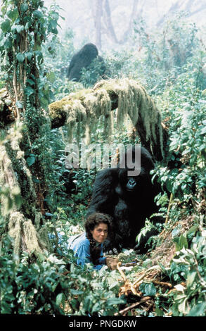 Titre original : gorilles DANS LA BRUME : THE STORY OF Dian Fossey. Titre en anglais : gorilles DANS LA BRUME : THE STORY OF Dian Fossey. Année : 1988. Réalisateur : Michael Apted. Stars : Sigourney Weaver. Credit : Warner Brothers / Album Banque D'Images