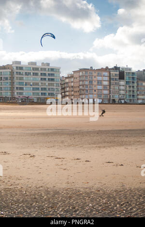 Kitesurfer à cheval sur une plage de sable de la côte belge à l'automne Banque D'Images