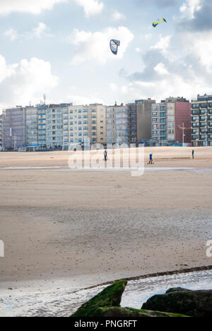 Kitesurfer à cheval sur une plage de sable de la côte belge à l'automne Banque D'Images