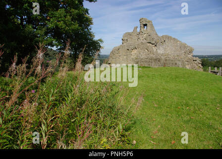 Ruines du château Caergwrle Banque D'Images