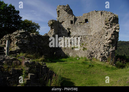 Ruines du château Caergwrle Banque D'Images