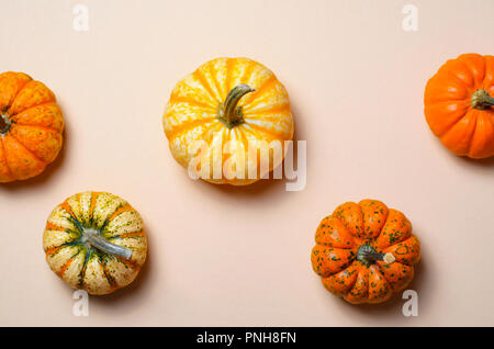 Les citrouilles colorés différents, de saison automne et l'Halloween Thanksgiving Background Banque D'Images