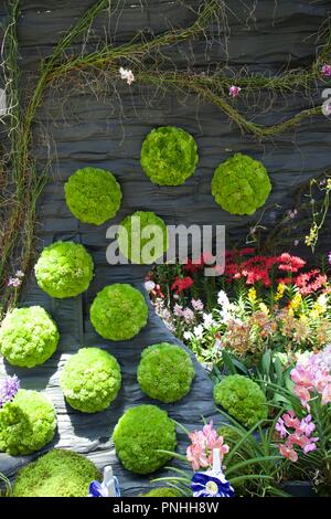 Singapour Banque D'Images