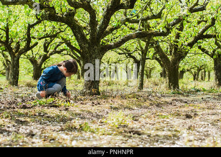 Petite fille aux longs cheveux sombres jouant dans les bois, selective focus Banque D'Images