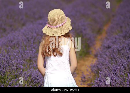 Petite fille debout dans un champ de lavande sur une journée d'été. Banque D'Images