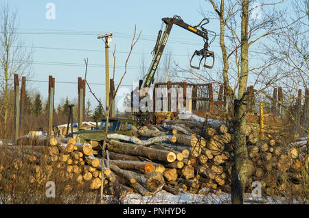 L'oblast de Pskov, ville de DNO, Russie - 6 janvier 2015 : le travailleur sur le chargeur de billes met des troncs d'arbres sur le quai de la gare en hiver Banque D'Images