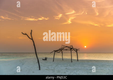 Incroyable coucher du soleil avec quelques silhouettes en bois, nuages dans le ciel, de belles couleurs Banque D'Images