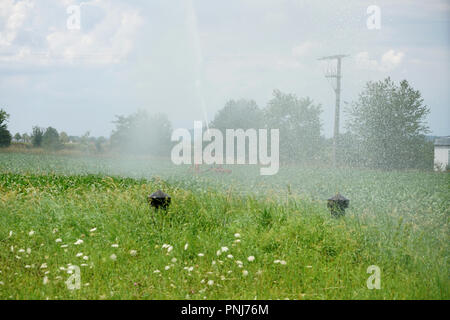 En particulier sur les journées chaudes de l'été, les champs de l'Allemagne doivent être irrigués en plus. Banque D'Images