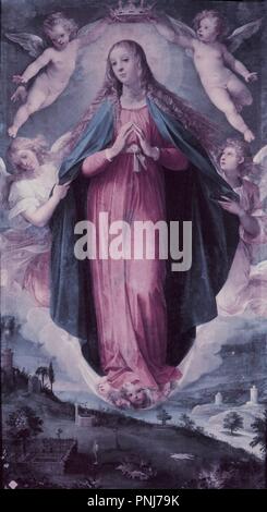 "Immaculée Conception", 16e siècle, le maniérisme italien. Auteur : CESARI, Giuseppe. Lieu : ACADÉMIE DE SAN FERNANDO-PINTURA. MADRID. L'ESPAGNE. Banque D'Images