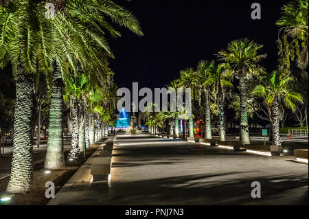 Avenue de palmiers menant à la fontaine du Triton, à La Valette, Malte. Banque D'Images