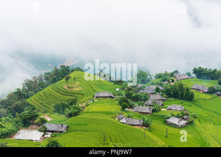 Terrain en terrasses Hoang Su Phi, Ha Giang, Vietnam Banque D'Images