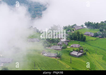 Terrain en terrasses Hoang Su Phi, Ha Giang, Vietnam Banque D'Images