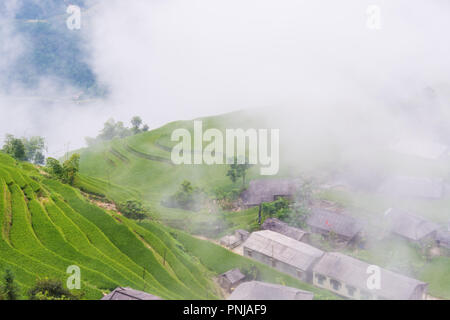 Terrain en terrasses Hoang Su Phi, Ha Giang, Vietnam Banque D'Images