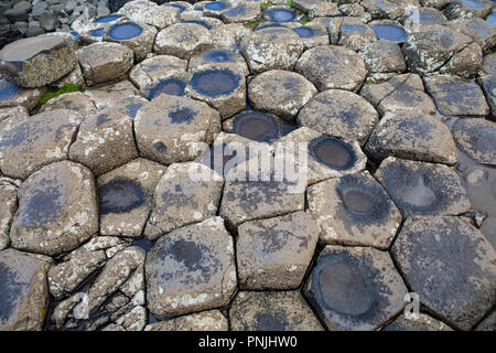 Une vue rapprochée de l'hexagonale naturelles à l'Giantâ stepping stones€™Causeway en Irlande du Nord. Banque D'Images