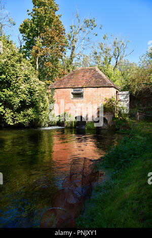 La maison de l'anguille, Alresford, Hampshire, Royaume-Uni. Banque D'Images