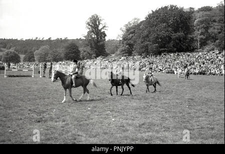 Années 1950, historique. Une grande foule à l'extérieur par un champ regarder les jeunes cavaliers sur leurs chevaux et poneys à un spectacle équestre, Bristol, Angleterre, Royaume-Uni. Banque D'Images