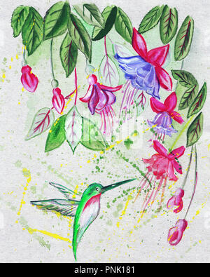 Illustration croquis d'un petit oiseau colibris à fleurs fleurs lumineuses à la recherche de nourriture Banque D'Images