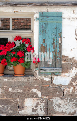 L'article d'une ancienne façade de maison avec de belles fleurs rouge sur la fenêtre comprimé contre les personnes âgées et les volets de fenêtre mur pelé Banque D'Images