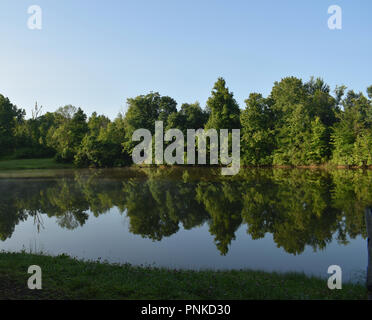 La réflexion comme un miroir vert bordé d'arbres de la rive dans un lac encore sur un matin ensoleillé avec un ciel bleu et quelques touches de brouillard. Banque D'Images