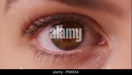 Extreme close up of young woman's eye millénaire sur l'écran vert Banque D'Images