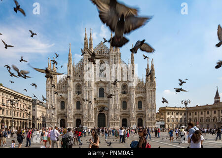 Milan, Italie - 21 septembre 2018​ : Pigeons sur la Piazza Duomo, Milan, Italie Banque D'Images