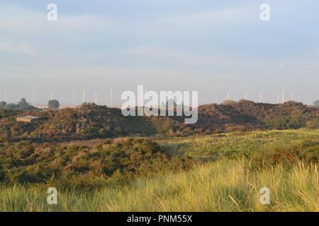 Camber Sands, carrossage, près de Rye, East Sussex, Angleterre, Royaume-Uni, la fin de l'été, la fin de l'après-midi Banque D'Images