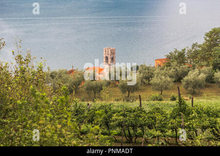 Le petit village, d'oliviers et de vignes sur les pentes du Monte Isola Island dans le lac d'Iseo. Italie Banque D'Images