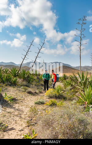 Chez les randonneurs avec dunes envahies par agaves, Playa de los Genoveses, parc national de Cabo de Gata-Nijar, Almería, Espagne Banque D'Images