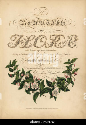 Page de titre calligraphique avec vignette botanique. Lithographie coloriée par Dean et Munday après Eliza Eve Gleadall de son auto-édité les beautés de la flore, avec des illustrations botaniques et poétique, étant une sélection de fleurs tirées de nature organisé emblématiquement, Heath Hall, Wakefield, 1834. Banque D'Images