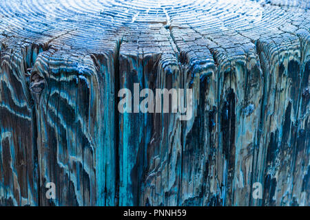 Voir ci-dessus des anneaux de croissance des arbres et de côté du weathered wood pier, un arrière-plan vintage grunge texture de peinture décolorée, une surface rugueuse, vertical Banque D'Images