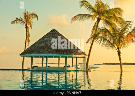 Café Bar et piscine sur une plage tropicale, entouré de palmiers - Voyage d'arrière-plan Banque D'Images