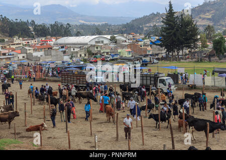 Le marché des animaux à Otavalo, Equateur Banque D'Images