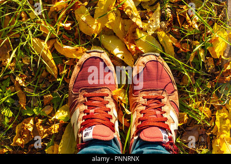 Des pieds humains en rouge sneakers New Balance sur la chute d'arbres avec les feuilles d'automne Banque D'Images