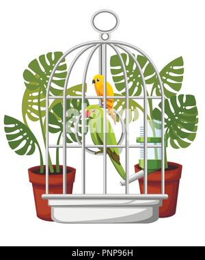 Cute jaune et vert perroquet. Accueil bird cartoon style. Deux oiseaux en cage et buveur automatique. Télévision vector illustration isolé sur fond blanc w Illustration de Vecteur