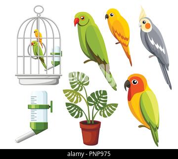 Ensemble de perroquets. Cage avec les oiseaux, l'eau buveur et pot de fleurs. Les icônes de style dessin animé. Télévision vector illustration isolé sur fond blanc. Illustration de Vecteur