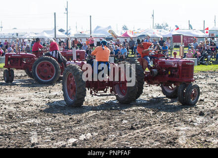 Toronto, Canada. Sep 21, 2018. Ils exercent, avec leurs tracteurs tracteurs au cours de la danse spectacle du 2018 International de labour et exposition rurale dans la région de Chatham-Kent, Ontario, Canada, 21 septembre 2018. Credit : Zou Zheng/Xinhua/Alamy Live News Banque D'Images