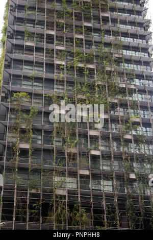 Kuala Lumpur, Malaisie. 22 septembre 2018. Un nouveau twin tower condominium avec un jardin vertical conçu par l'architecte paysagiste de renommée internationale et française le botaniste Patrick Blanc s'ouvre dans la capitale malaisienne Kuala Lumpur Banque D'Images