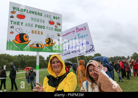 Londres, Royaume-Uni. Septembre 22 2018. Une manifestation à pied de Hyde Park à Richmond Terrace à Whitehall pour mettre en évidence la disparition de la vie sauvage dans la ville. Penelope Barritt/Alamy Live News Banque D'Images