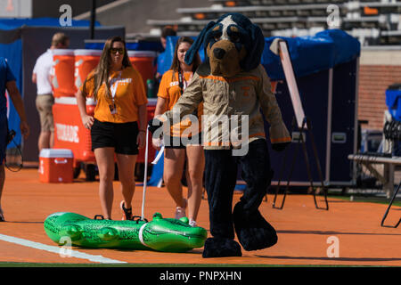 22 septembre 2018 : New York bénévoles mascot avec un alligator gonflable avant la NCAA football match entre les bénévoles de l'Université du Tennessee et de l'Université de Floride à Knoxville, TN Gators Tim Gangloff/CSM Crédit : Cal Sport Media/Alamy Live News Banque D'Images