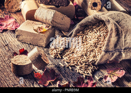 Pressé de bûches de bois et granulés de bois à partir de la biomasse avec les feuilles d'automne. Banque D'Images