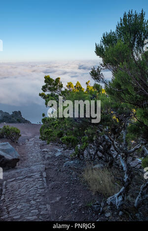 Pico Ruivo 2018 - l'île de Madère randonnée lever du soleil Banque D'Images