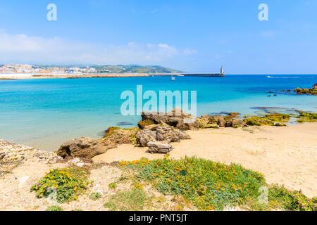 Vue de la plage de Tarifa avec des fleurs, des dunes de sable de la Costa de la Luz, Espagne Banque D'Images