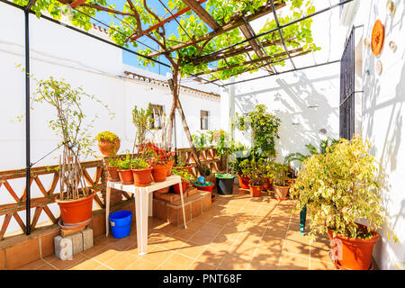 Plantes sur la terrasse de la maison blanche typique dans le pittoresque village de Mijas, l'Andalousie. Espagne Banque D'Images