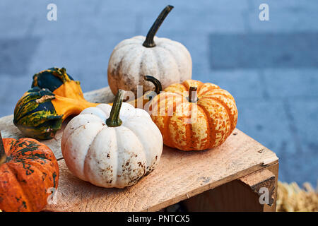 Les petites citrouilles d'halloween en orange et blanc sur une caisse en bois Banque D'Images